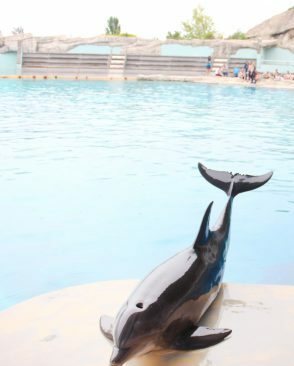 bocci-chiatti oltremare