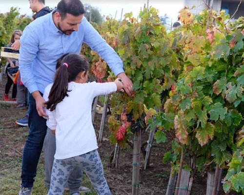 In Abruzzo torna Cantine Aperte in Vendemmia