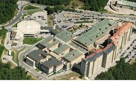 ospedale cardarelli campobasso