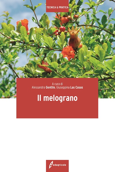 il melograno