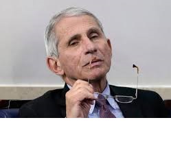 anthony fauci