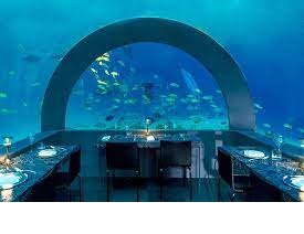 ristorante maldive andrea berton