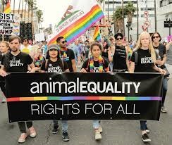 animal equality