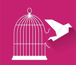 le donne per le donna