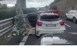 albero di natale (primocanale.it)